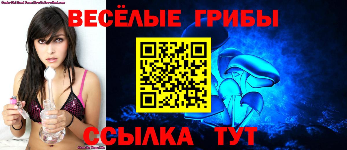 Галлюциногенные грибы Psilocybe  Галлюциногенные грибы прущие грибы  Вход с VPN  Заринск 